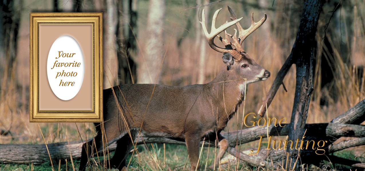 Gone Hunting (White Tail Crusing)